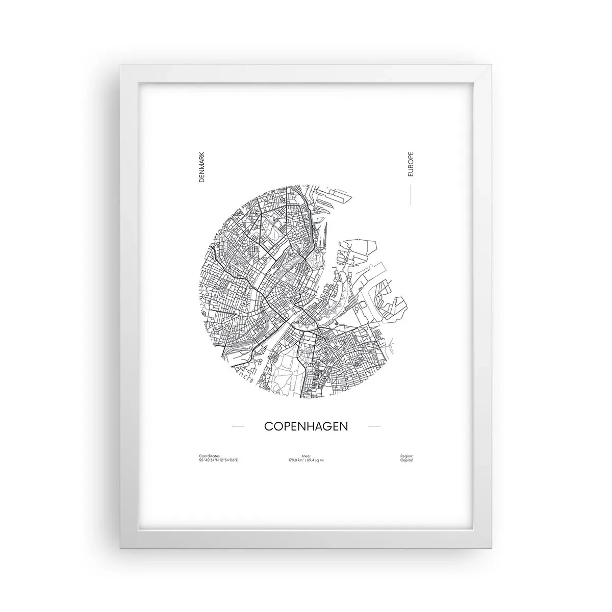 Poster in white frmae - Anatomy of Copenhagen - 30x40 cm