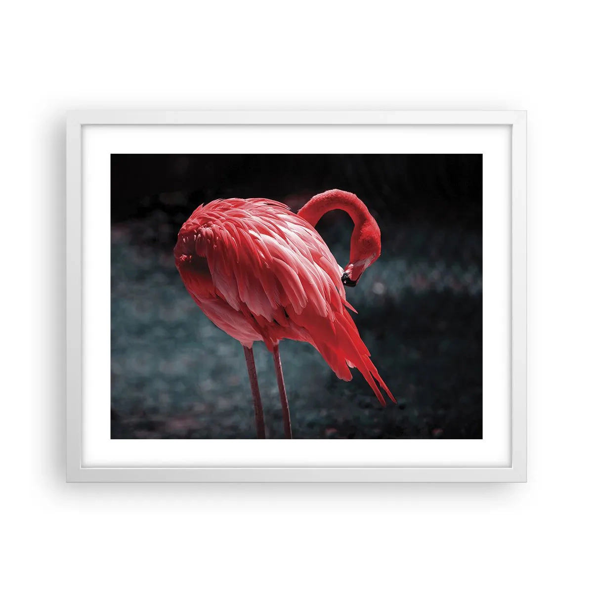 Poster in white frmae - Crimson Poem of Nature - 50x40 cm
