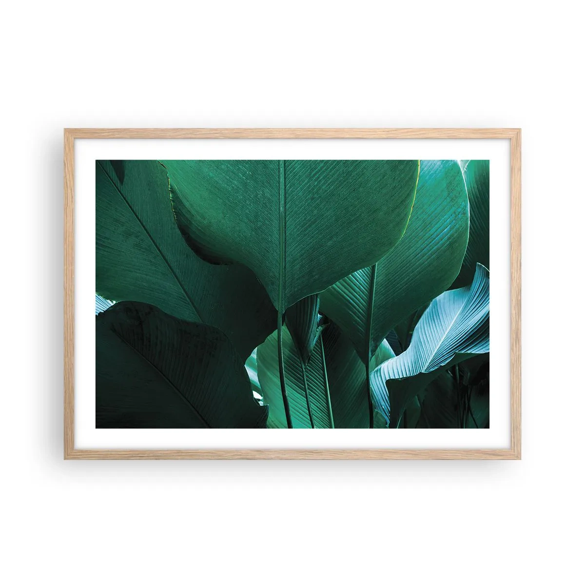 Poster in light oak frame - Turned towards Light - 70x50 cm