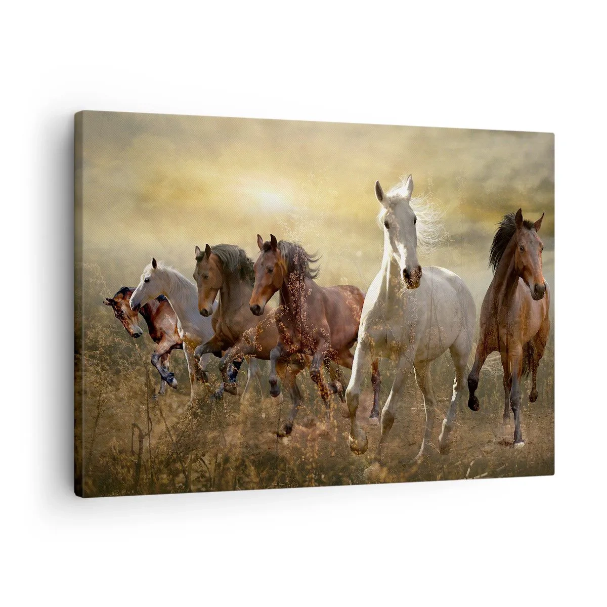 Canvas picture - A group of galloping horses against the backdrop of the setting sun - 70x50cm - Long Live Freedom! - Modern wall decoration for the living room and bedroom ARTTOR