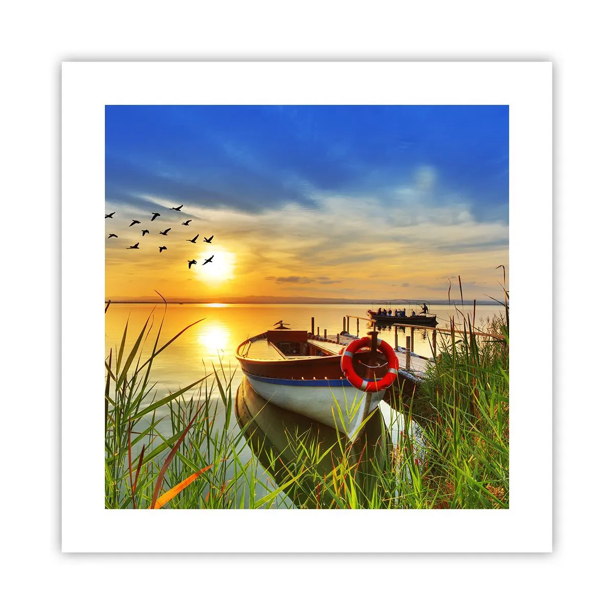 Poster - Cormorants Are Flying Away - 40x40 cm