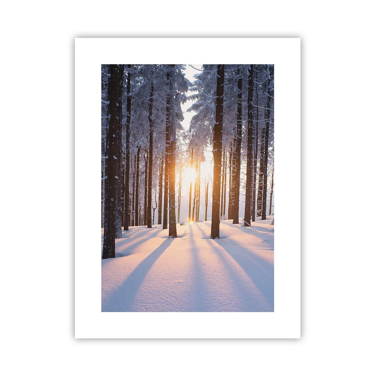 Poster - Clearly Black on White - 30x40 cm