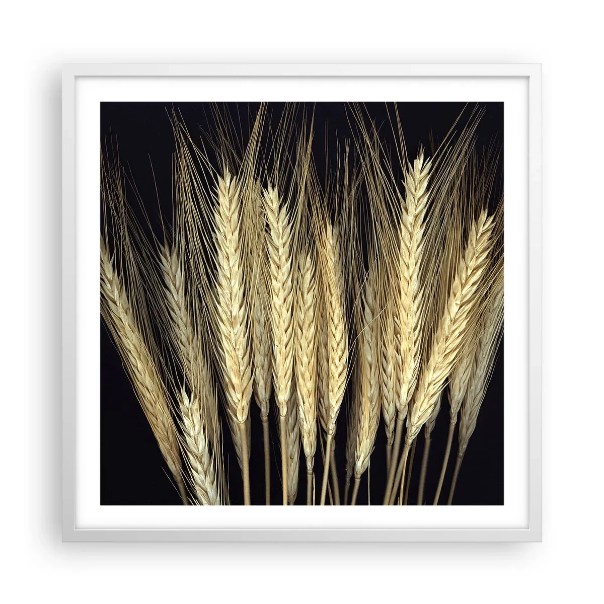 Poster in white frmae - Rustic Magic - 60x60 cm