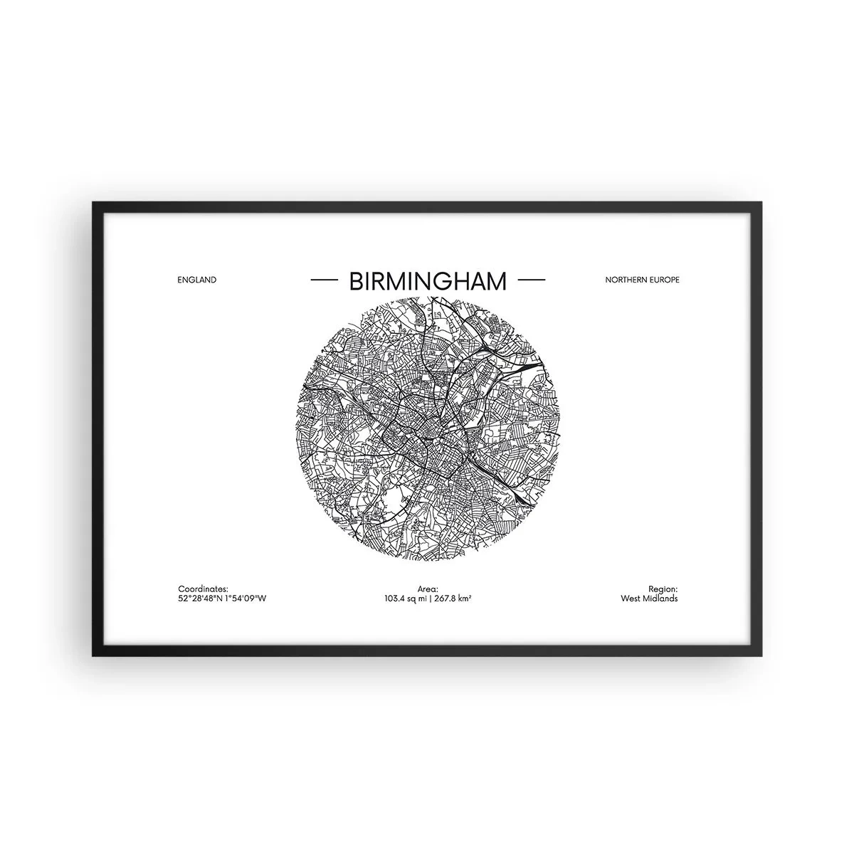 Poster in black frame - Anatomy of Birmingham - 91x61 cm