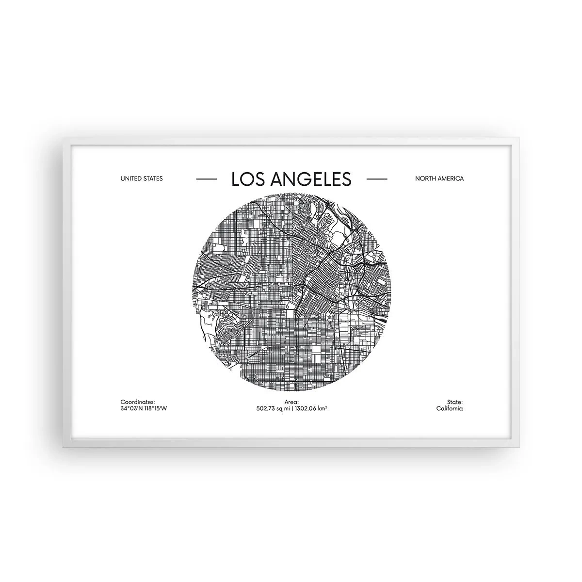 Poster in white frmae - Anatomy of Los Angeles - 91x61 cm