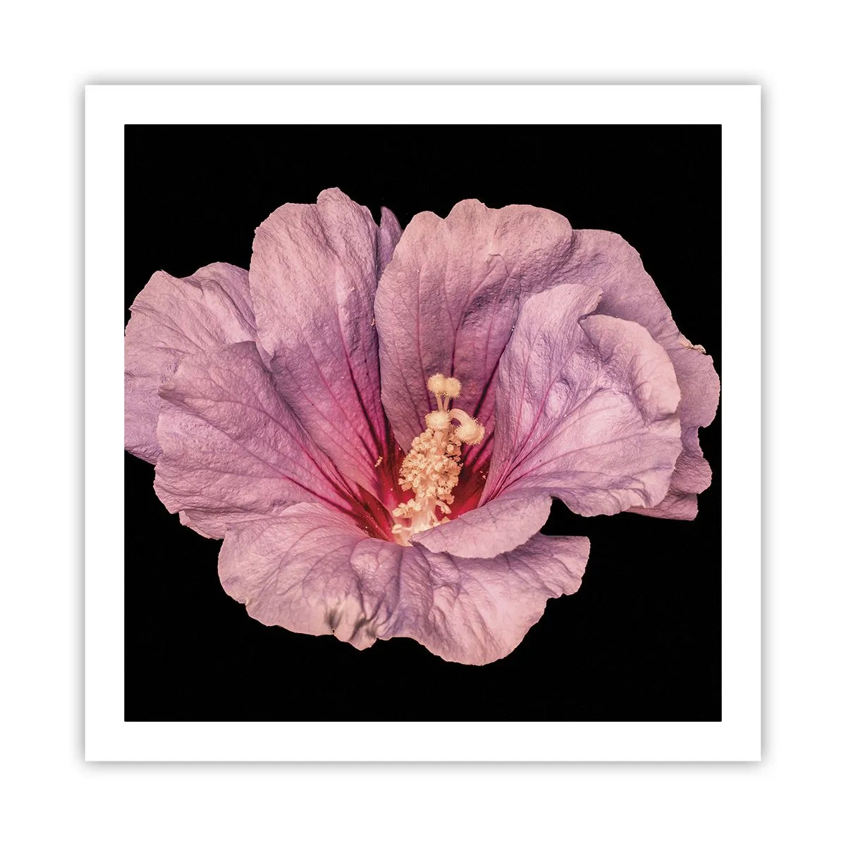 Poster - Straight from the Heart - 60x60 cm