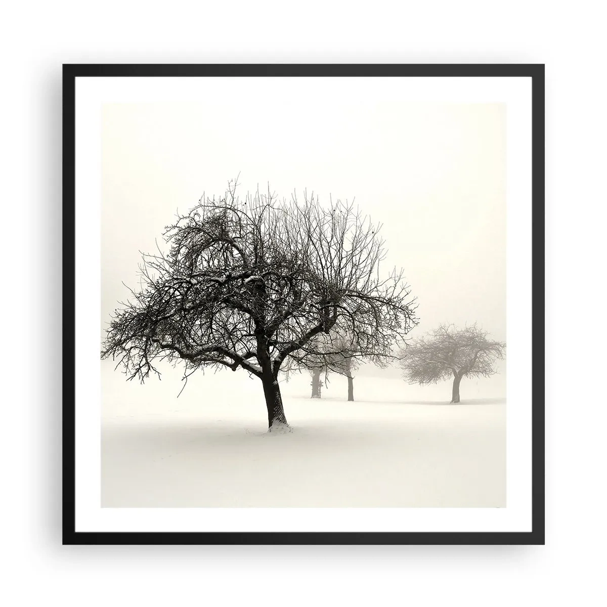 Poster in black frame - Winter Dream - 60x60 cm