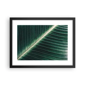 Poster in black frame - Rhythm of Nature - 40x30 cm