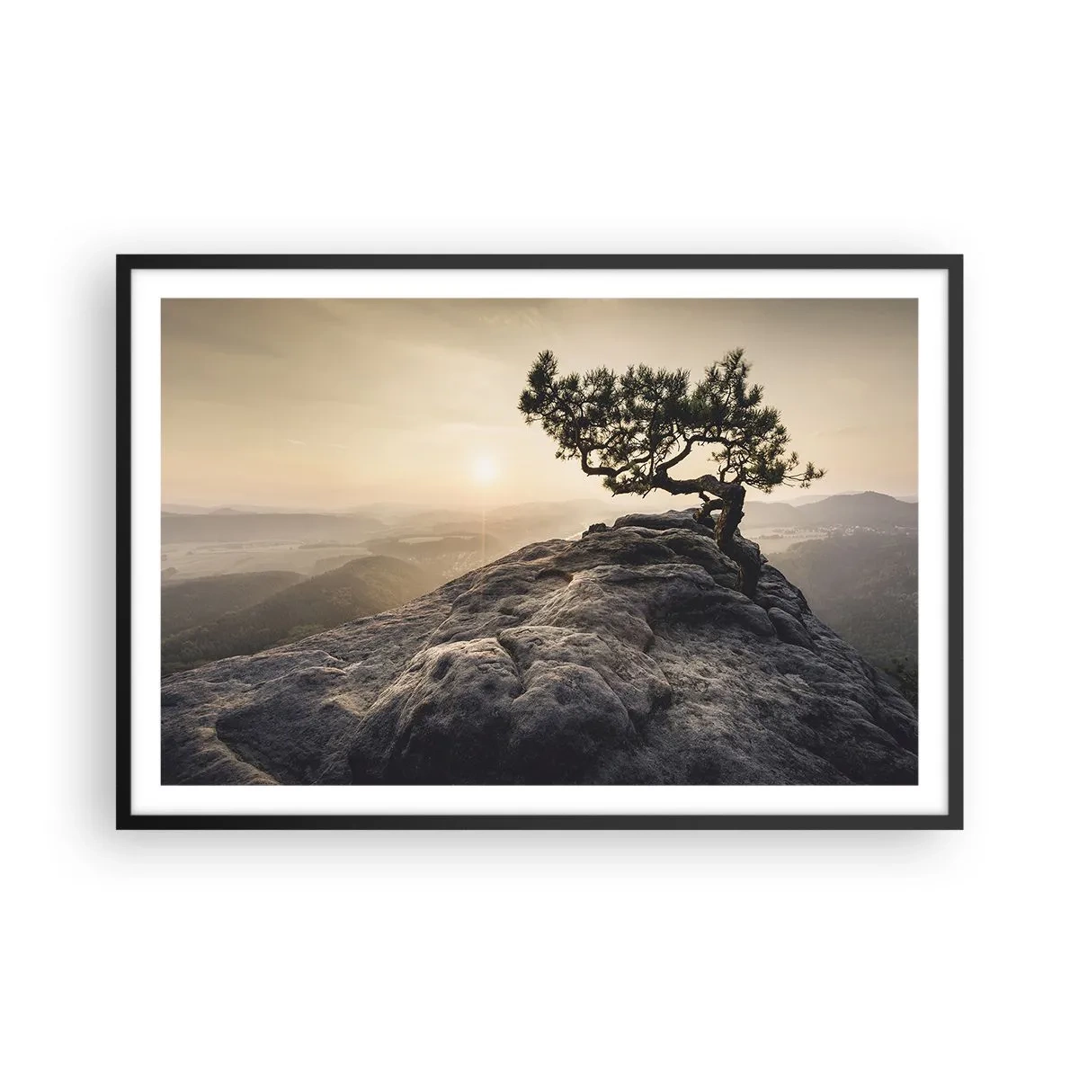 Poster in black frame - Life Always Wins - 91x61 cm