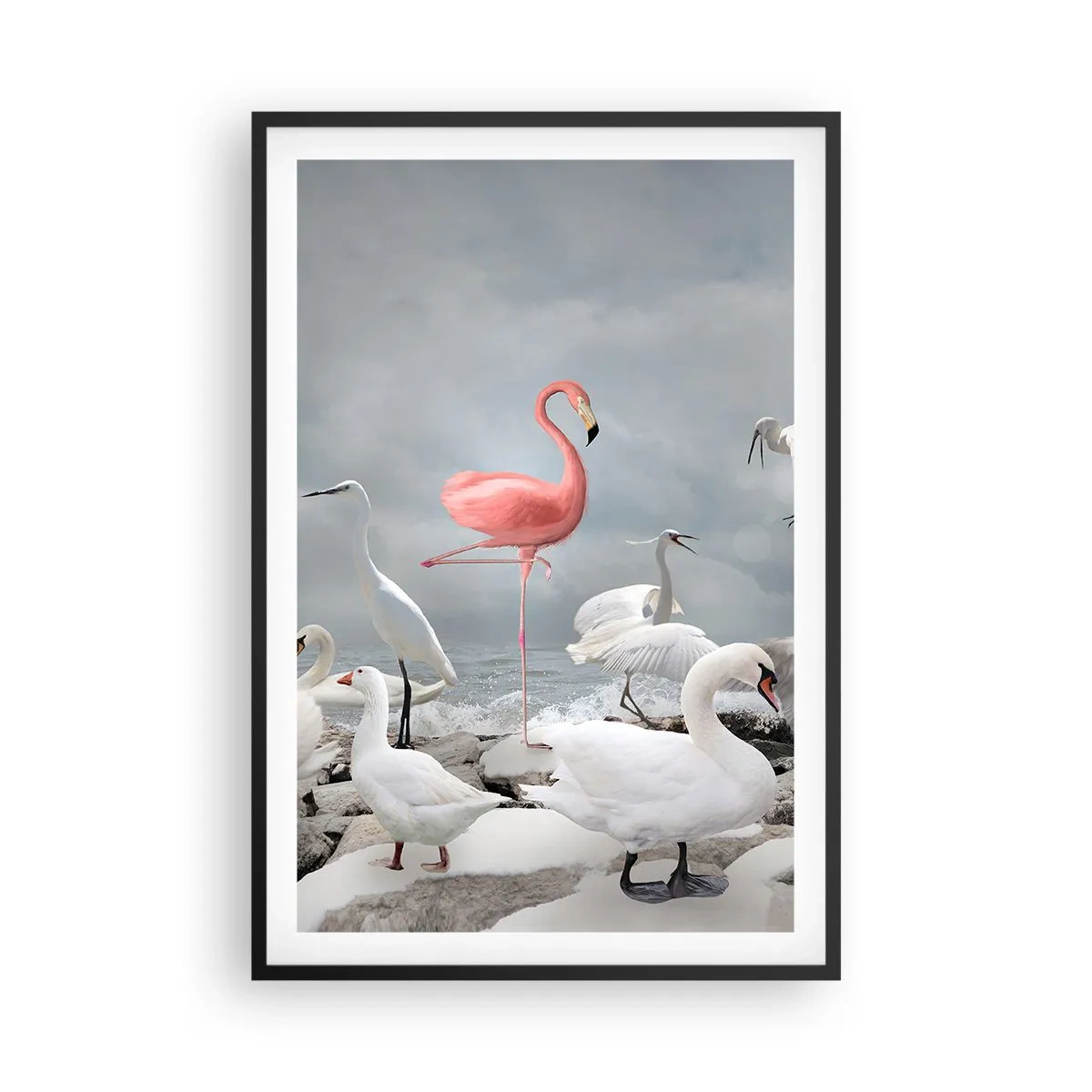 Poster in black frame - Where Did I Come from? - 61x91 cm