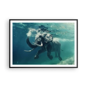 Poster in black frame - Everyone Likes to Swim - 100x70 cm