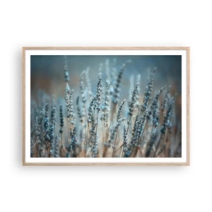 Poster in light oak frame - Fragrant Grass - 100x70 cm