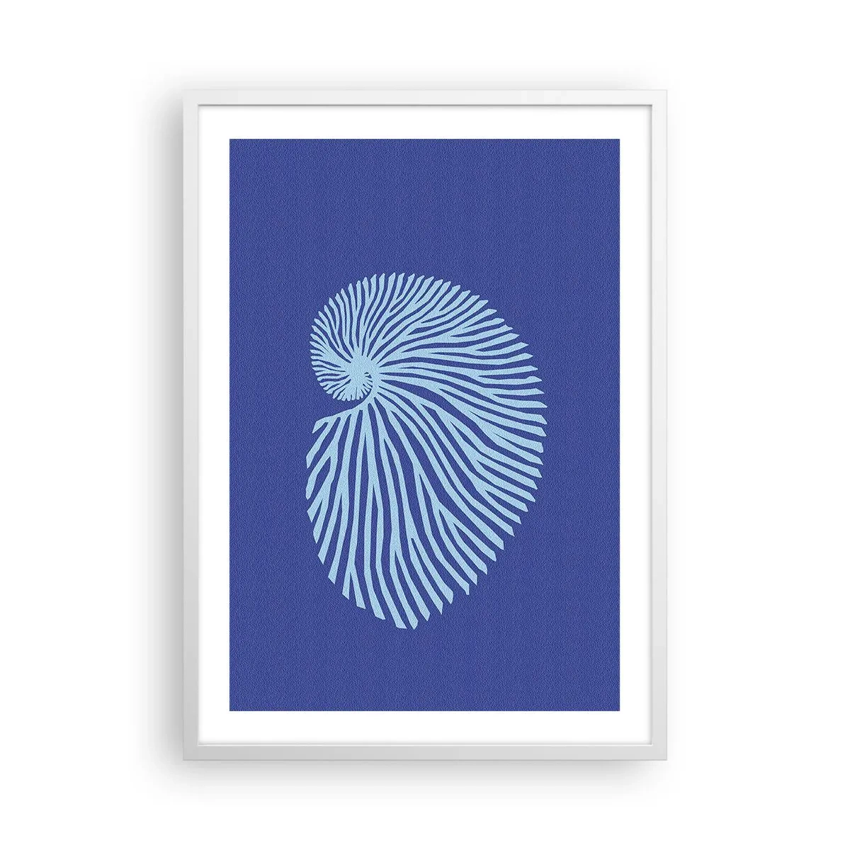 Poster in white frmae - Birth of a Shell - 50x70 cm