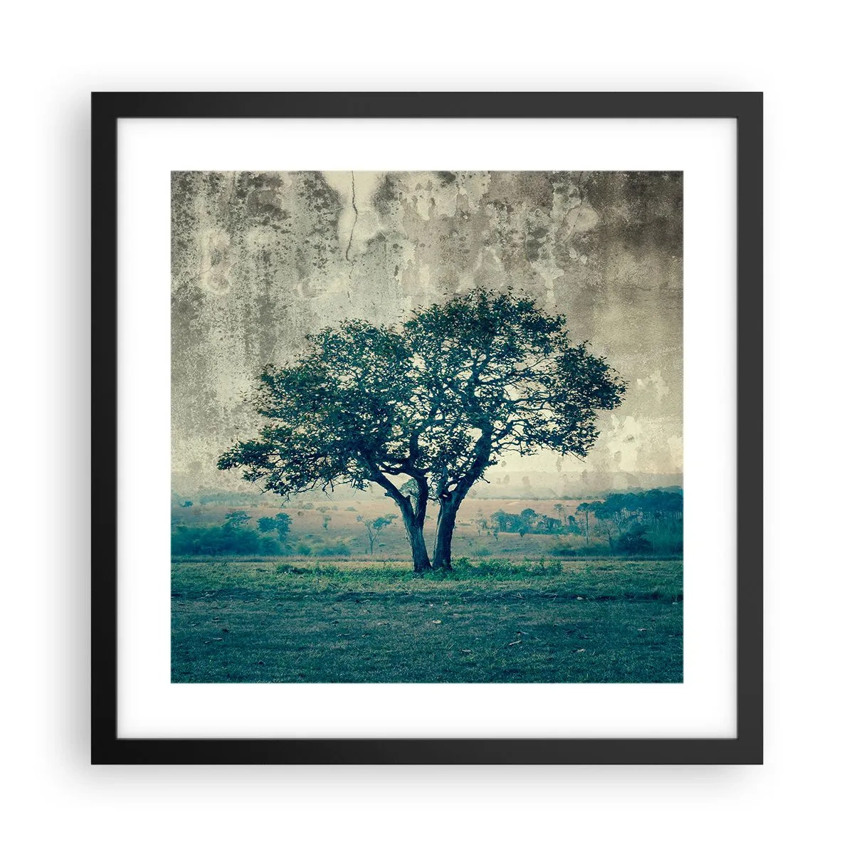 Poster in black frame - Apple Tree in Blue? - 40x40 cm