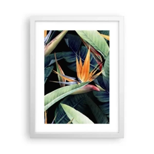 Poster in white frmae - Flaming Flowers of the Tropics - 30x40 cm