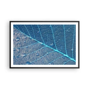 Poster in black frame - Life in the Blue - 91x61 cm