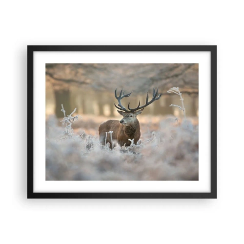 Poster in black frame - Chilly Morning - 50x40 cm