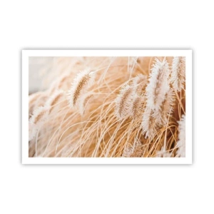 Poster - Golden Rustling of Grass - 91x61 cm