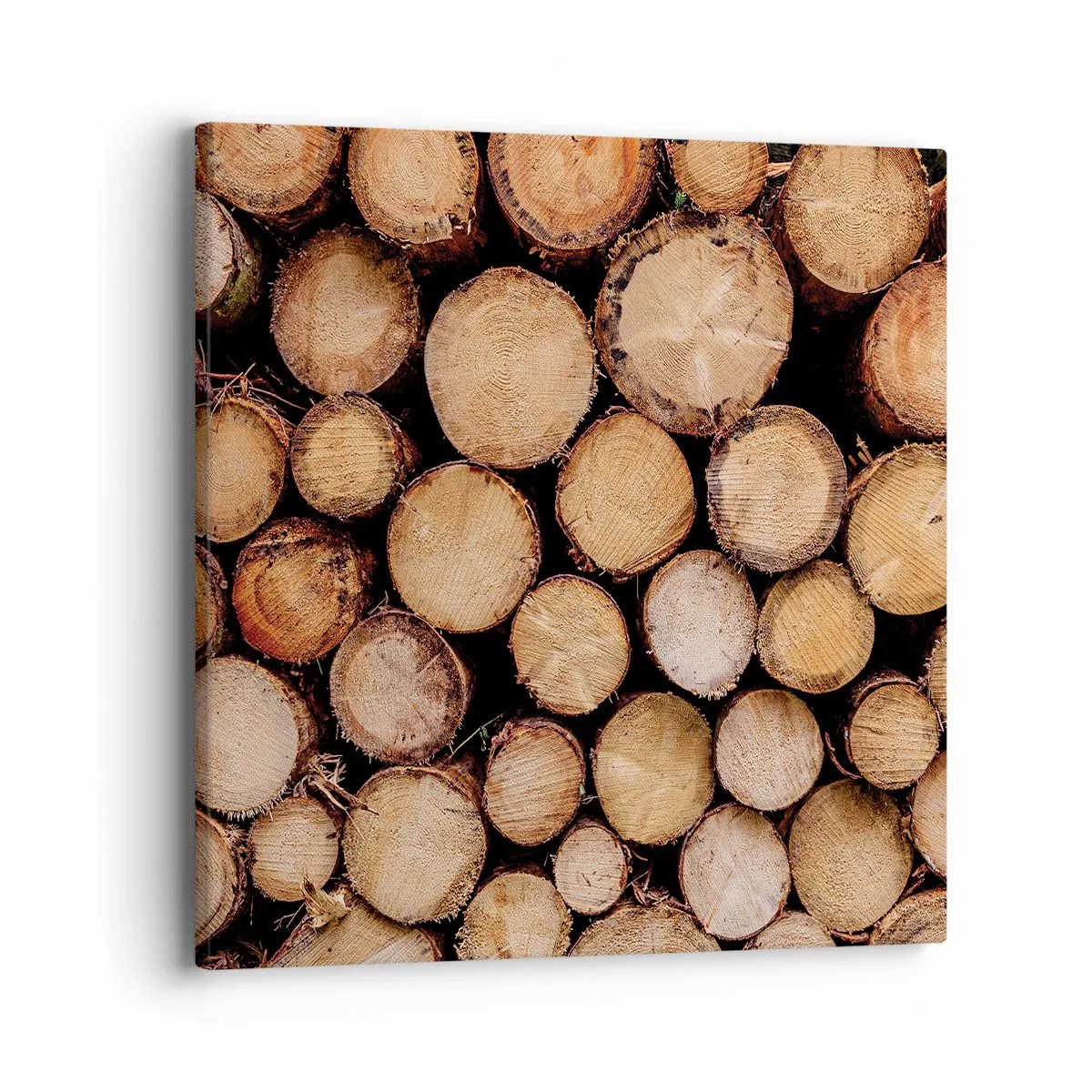 Canvas picture - New Beginning - 40x40 cm