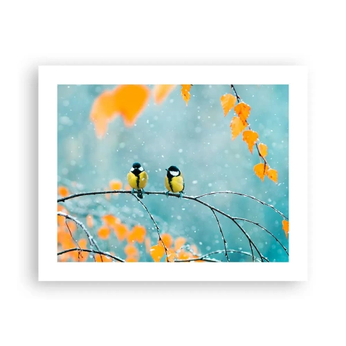 Poster - Birdy Gossip - 50x40 cm