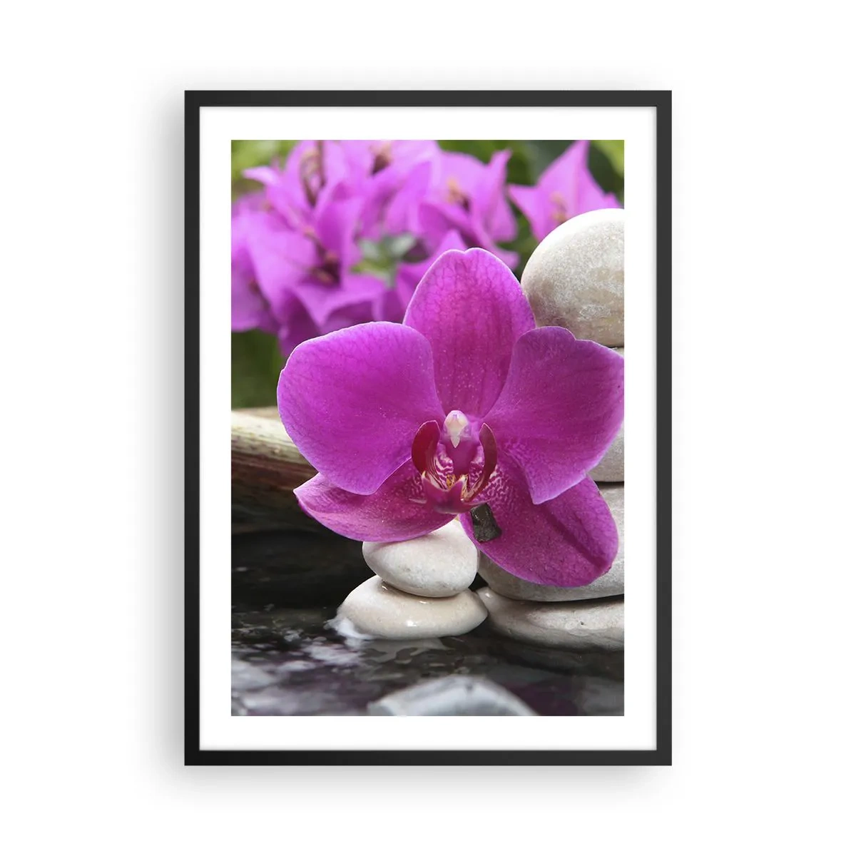 Poster in black frame - A purple orchid against a background of stones in a harmonious arrangement - 50x70cm - You Are Already Resting - Modern wall decoration for the living room and bedroom ARTTOR