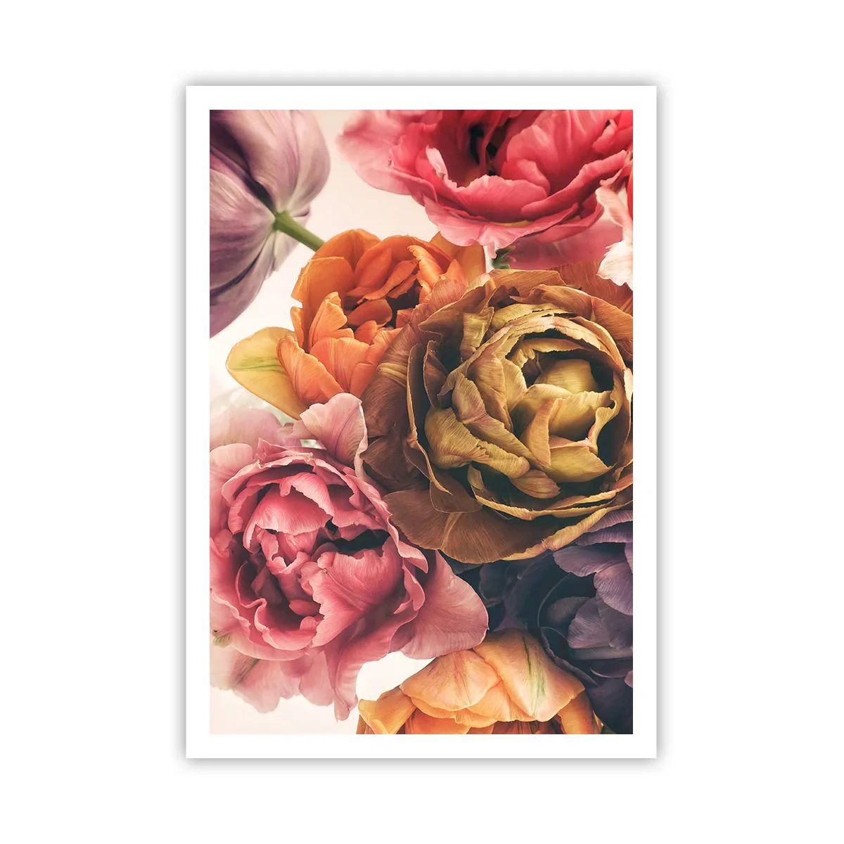 Poster - Celebration of Life - 70x100 cm