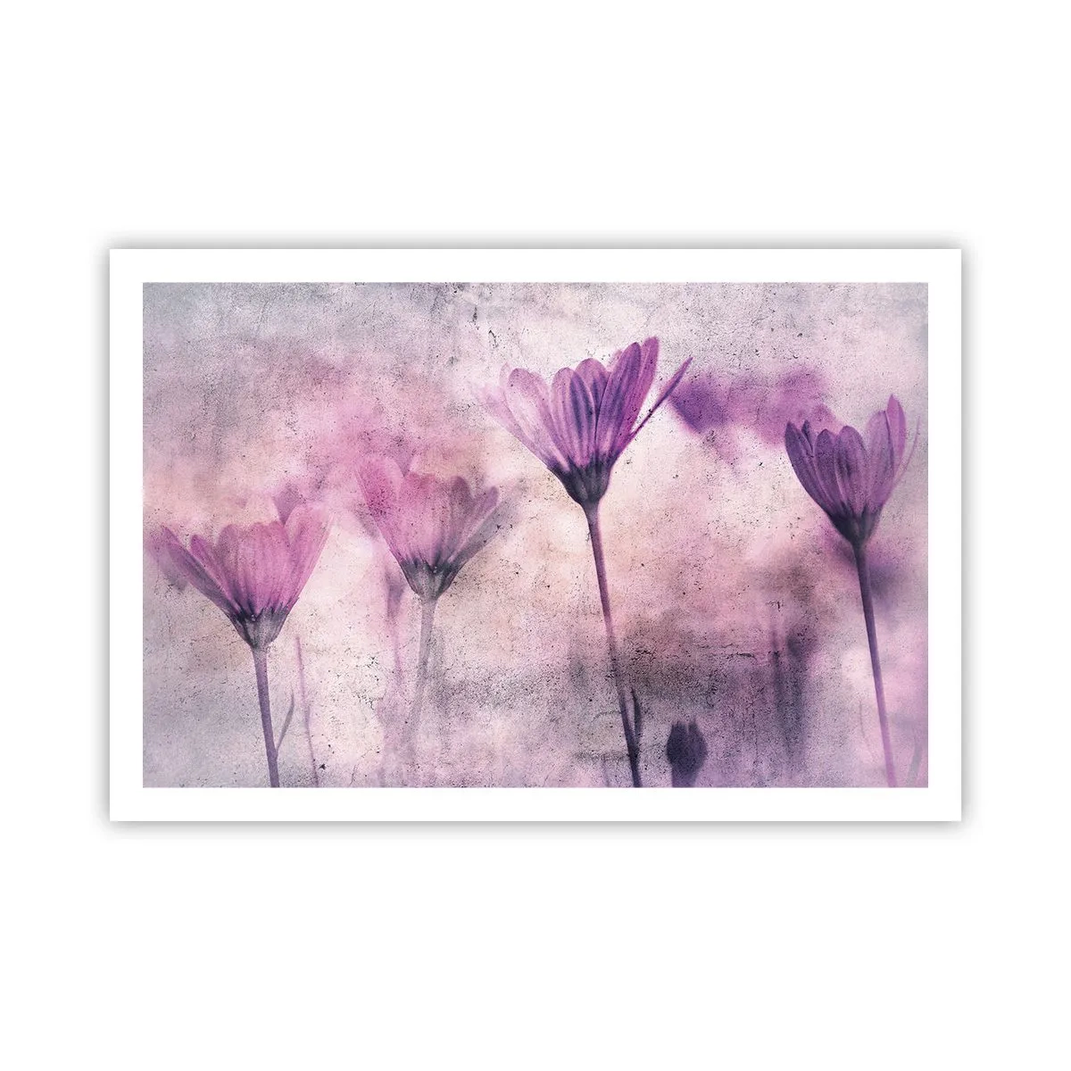 Poster - Dream of Flowers - 91x61 cm