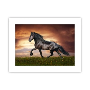 Poster - Black Prince - 40x30 cm