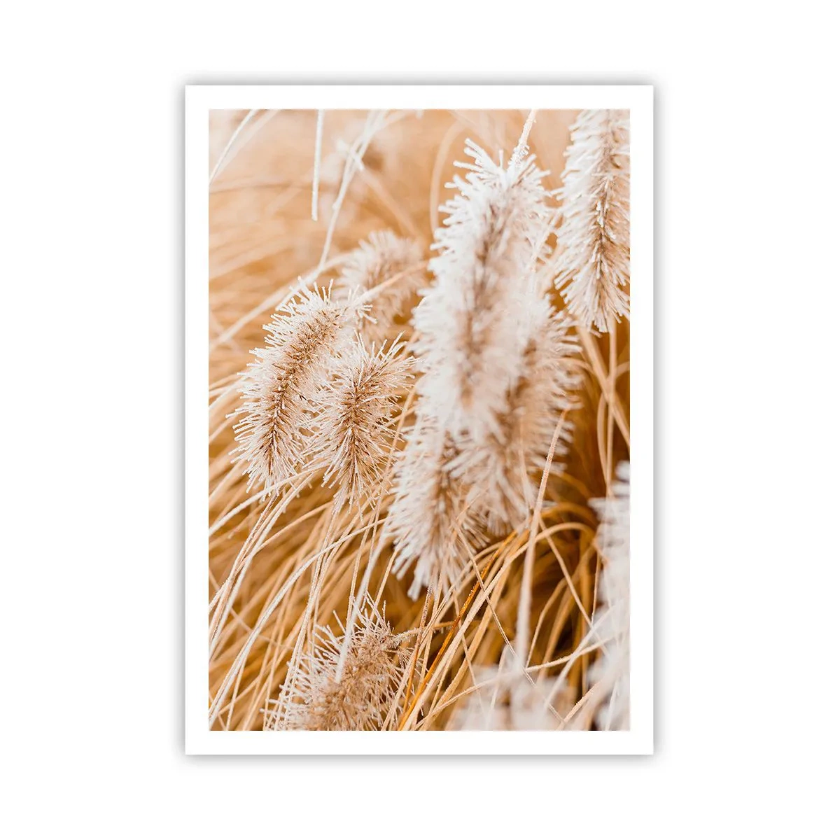 Poster - Golden Rustling of Grass - 70x100 cm