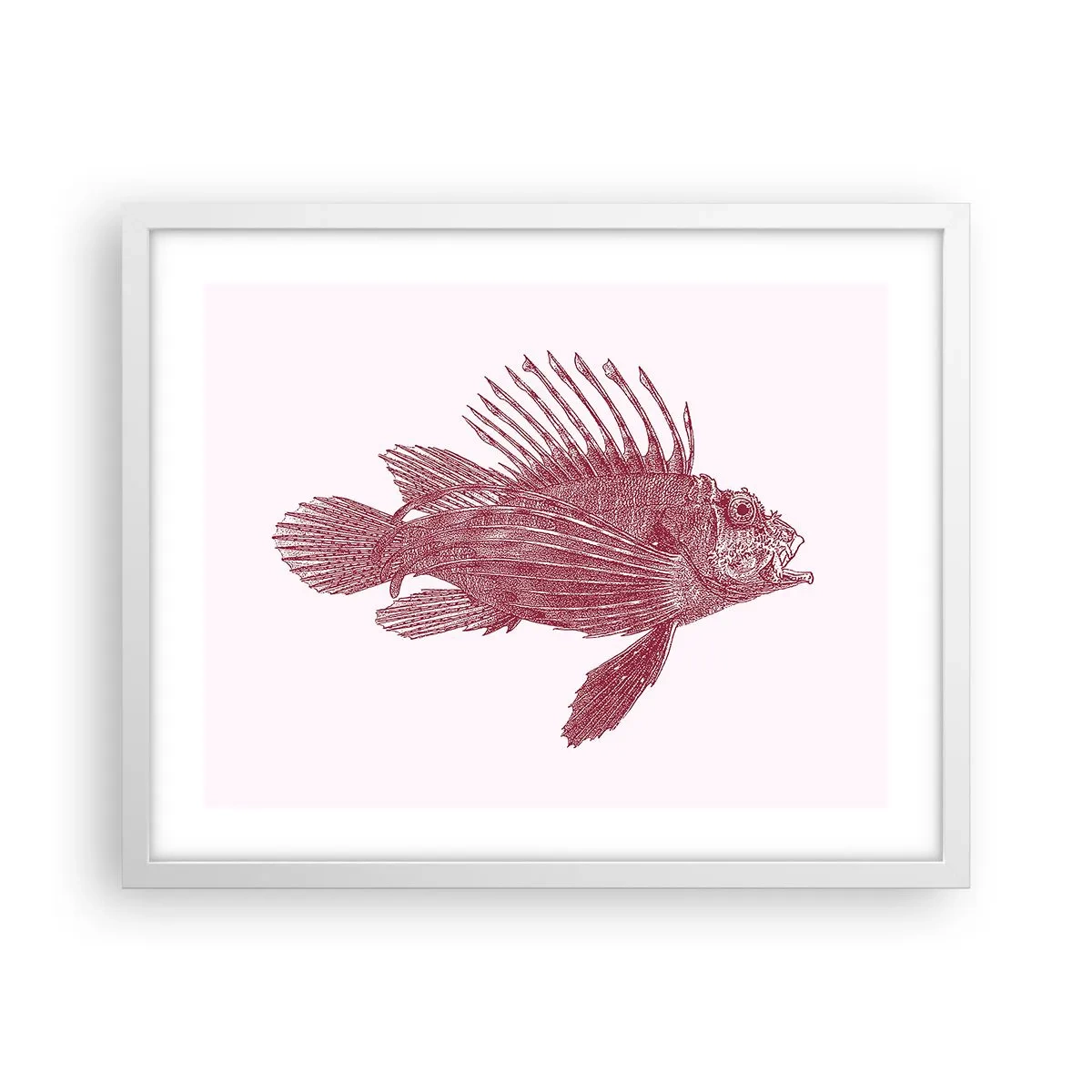 Poster in white frmae - Dweller of Exotic Waters - 50x40 cm