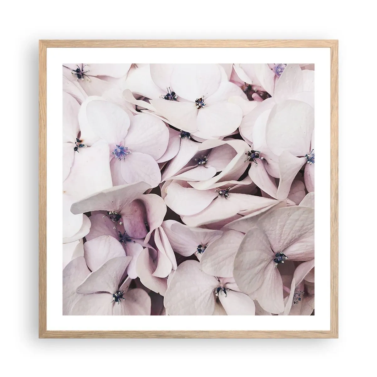 Poster in light oak frame - In the Flood of Flowers - 60x60 cm