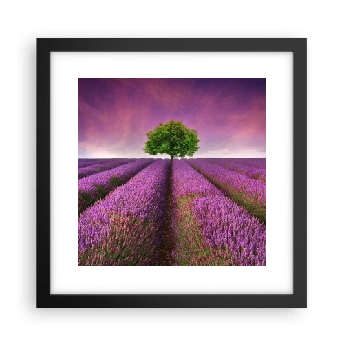 Poster in black frame - In the Fields of Lavender - 30x30 cm