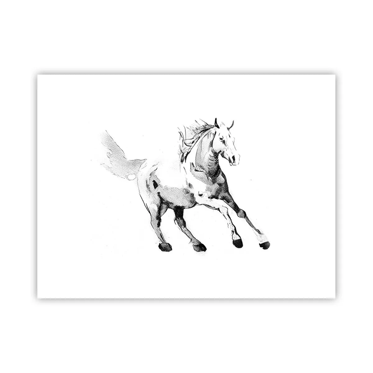 Poster - Untamed Soul - 40x30 cm