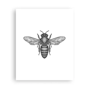 Poster - Insect Portrait - 40x50 cm