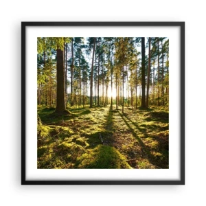 Poster in black frame - Deep in the Forest - 50x50 cm