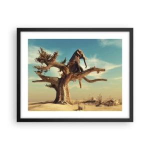 Poster in black frame - New Point of View - 50x40 cm