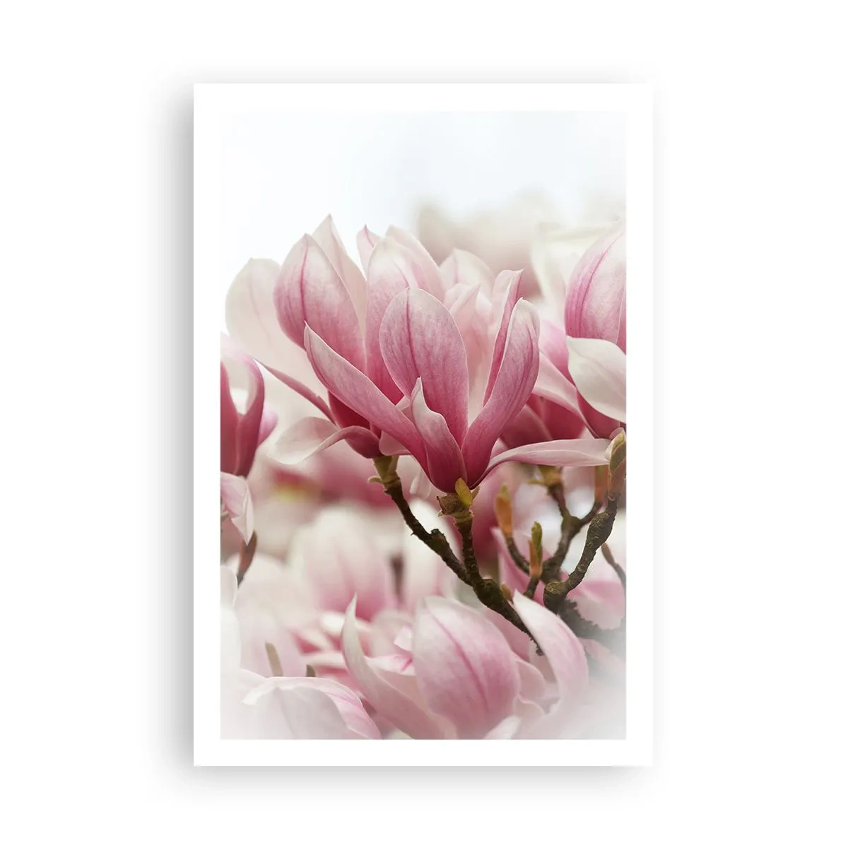 Poster - Spring Flowers - 61x91 cm