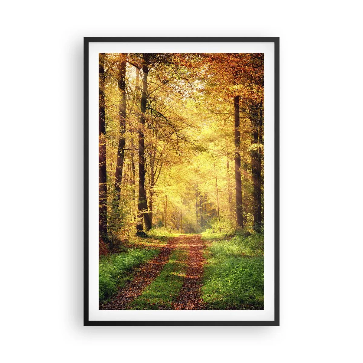 Poster in black frame - Forest Golden silence - 61x91 cm