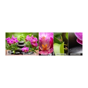 Photo Wallpaper Sample Standard Eco - Pyramid of Peace - Flowers, Orchid, Orchid - 100x30 cm
