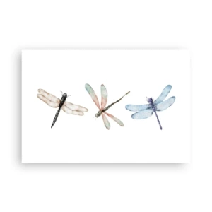 Poster - Lightness of Dragonflies  - 91x61 cm