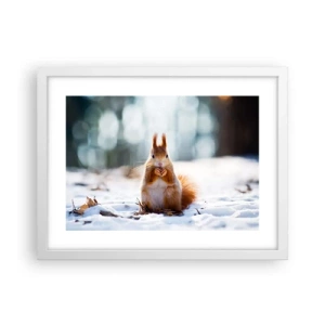 Poster in white frmae - What Are You Looking at? - 40x30 cm