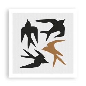 Poster - Swallows at Play - 60x60 cm