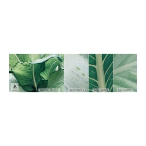 Photo Wallpaper Sample Premium Canvas - Life in Intense Green Colour - Leaves, Exotic, Botanical - 100x30 cm