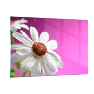 Glass picture - Modest in Its Beauty - 120x80 cm