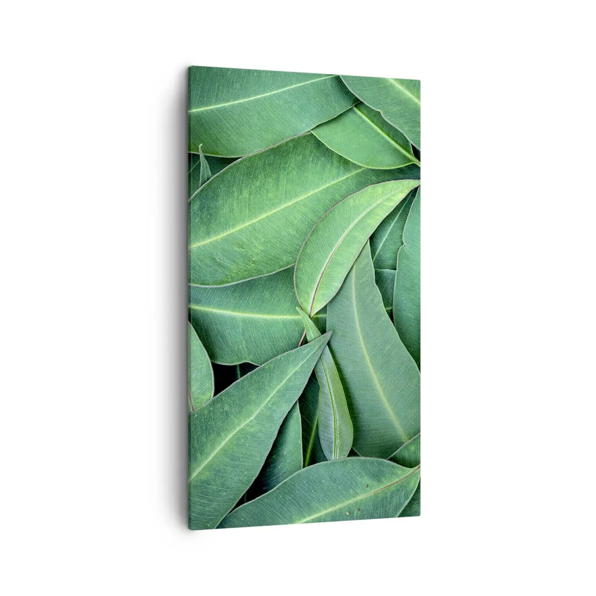 Canvas picture - Juicy and Fresh - 45x80 cm