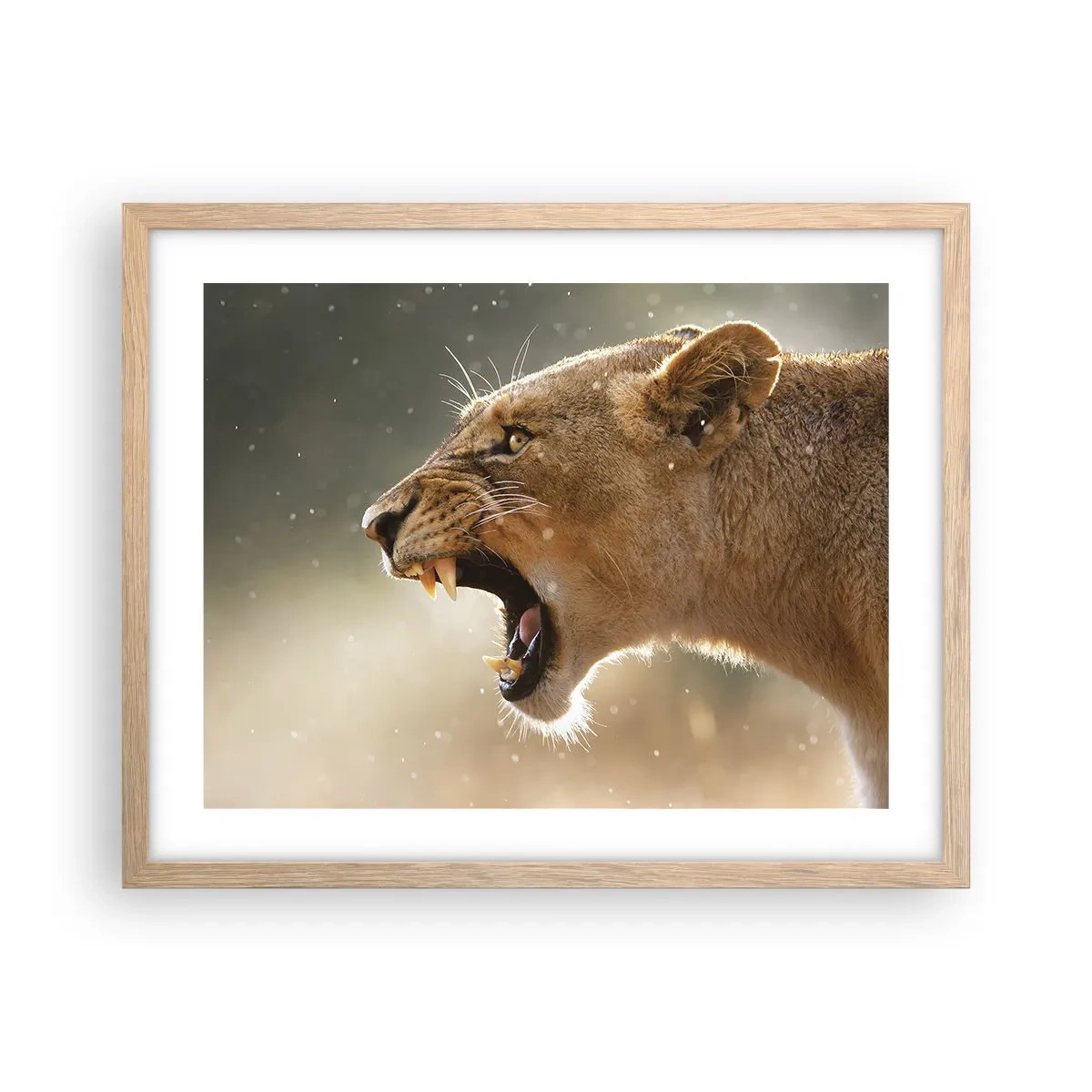Poster in light oak frame - Try Not to Listen - 50x40 cm