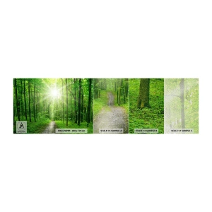 Photo Wallpaper Sample Premium Sand - Green Cathedral - Landscape, Forest, Rays of the sun - 100x30 cm