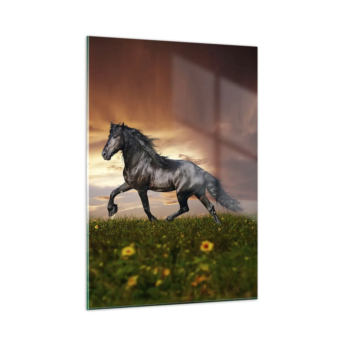 Glass picture - Black Prince - 50x70 cm