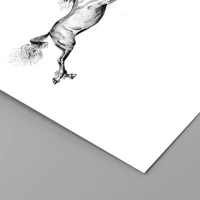 Unframed