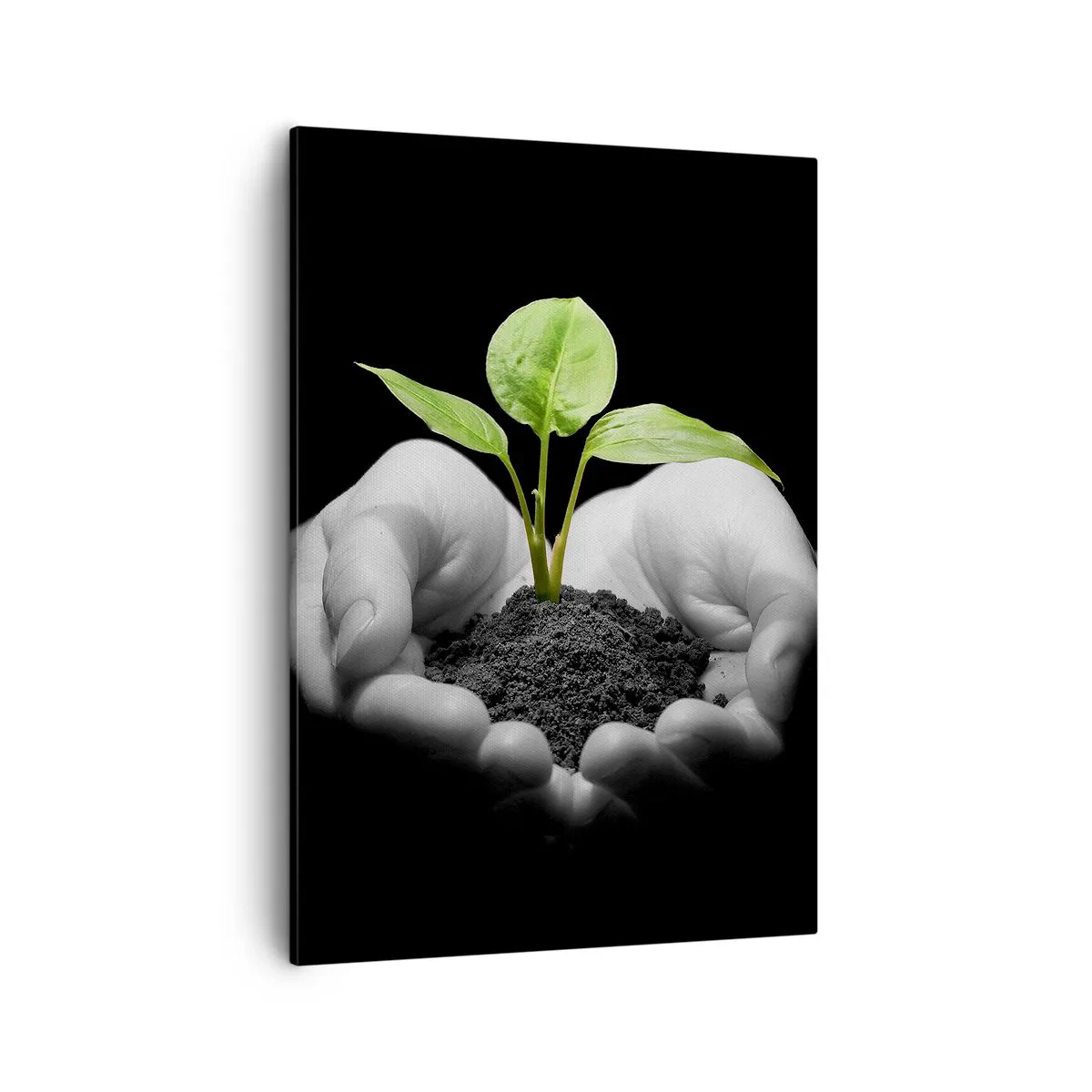 Canvas picture - I Love Nature, I Protect It - 50x70 cm